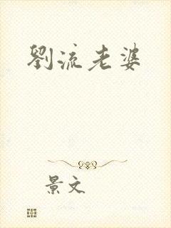 刘流老婆