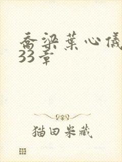 乔梁叶心仪3233章封面