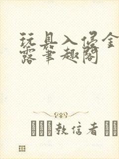 玩具入侵金银花露笔趣阁