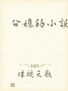 公媳的小说