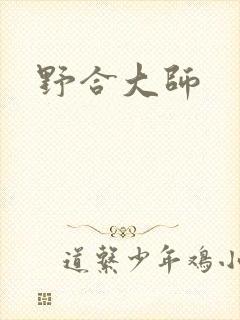 野合大师封面