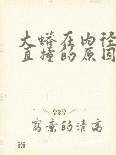 大蟒在内径横冲直撞的原因封面