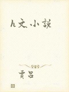 h文小说封面
