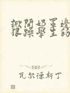 掀开奶罩边躁狠狠躁学生的小文字