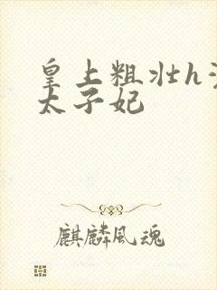 皇上粗壮h灌满太子妃封面
