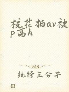 校花拍av被np高h