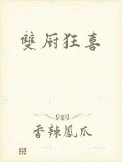 双厨狂喜