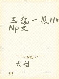 三龙一凤H啪肉Np文