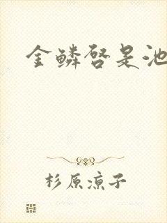 金鳞启是池中物封面
