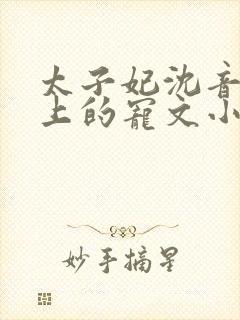 太子妃沈音和皇上的宠文小说封面