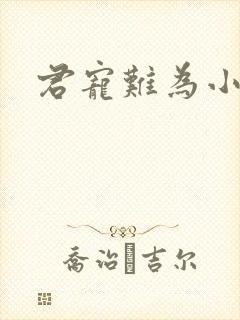 君宠难为小说