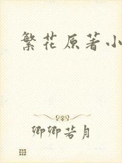 繁花原著小说