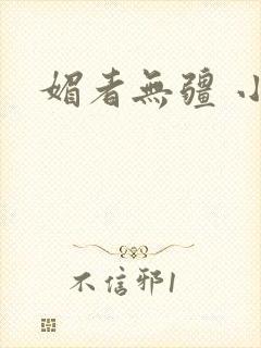 媚者无疆 小说