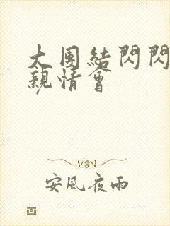 大团结闪闪发光亲情会封面