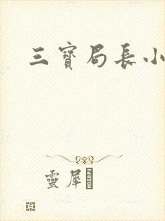 三宝局长小说
