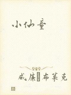 小仙童封面