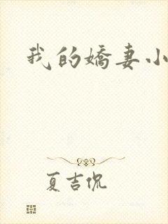 我的娇妻小说