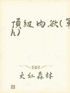 顶级肉欲(军高h)