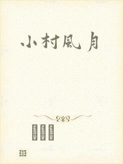 小村风月封面