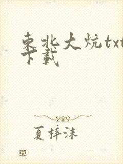 东北大炕txt下载封面