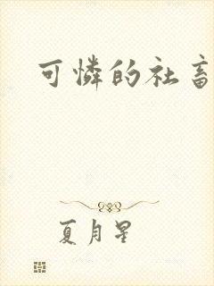 可怜的社畜