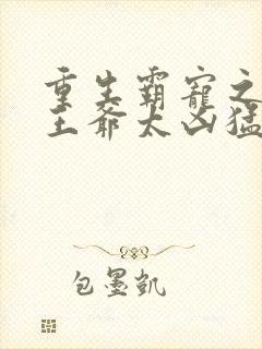 重生霸宠之摄政王爷太凶猛