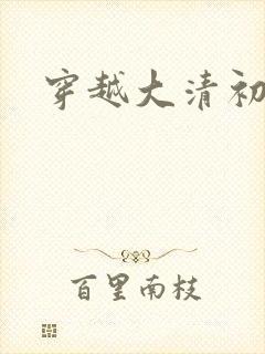 穿越大清初年