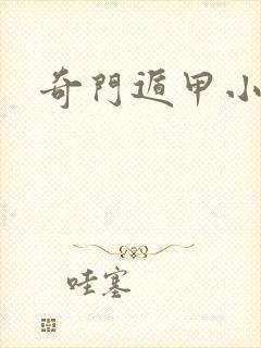 奇门遁甲小说