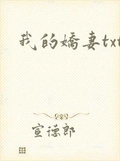 我的娇妻txt