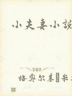 小夫妻小说
