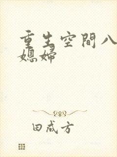 重生空间八零小媳妇