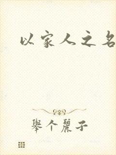 以家人之名小说封面