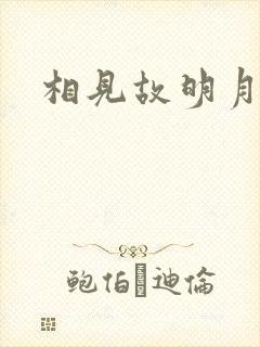 相见故明月