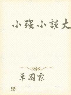 小强小说大全封面