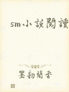sm小说阅读