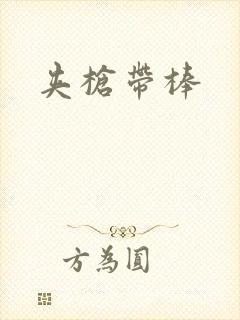 夹枪带棒封面