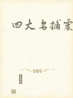 四大名捕震关东