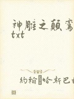神雕之颠鸾倒凤txt封面