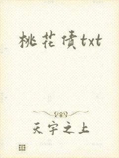 桃花债txt封面