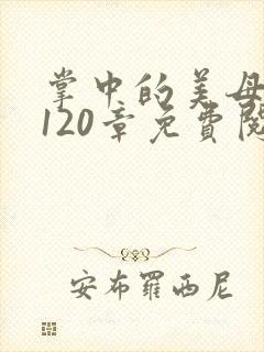 掌中的美母版主120章免费阅读