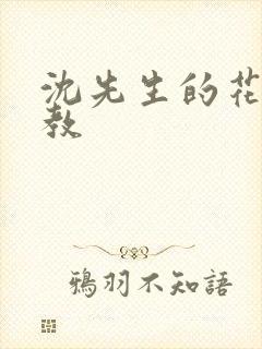 沈先生的花式管教