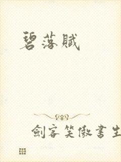 碧落赋封面