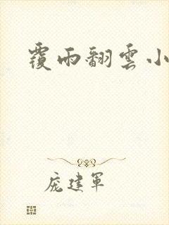 覆雨翻云小说
