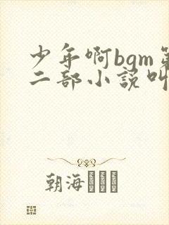 少年啊bgm第二部小说叫什么封面