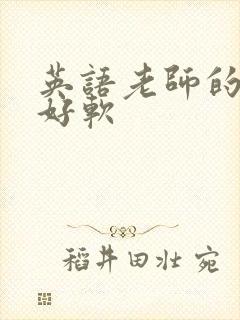 英语老师的兔子好软