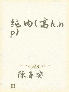 纯肉(高h.np)