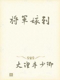 将军嫁到
