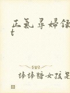 正气寻妇录txt