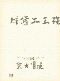 维修工王强张婷封面