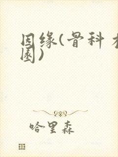 因缘(骨科 校园)封面